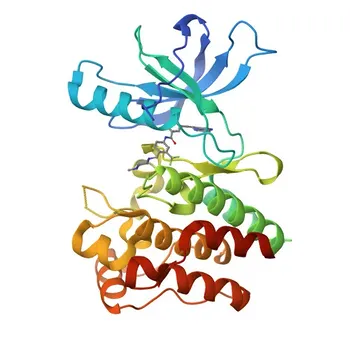 Anti-ROR1 Polyclonal Antibody for WB, ELISA - Q01973