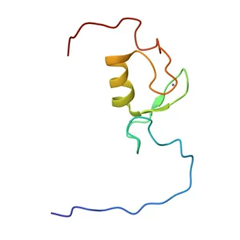 Anti-PCGF6 Rabbit Polyclonal Antibody (pAb) for WB and ELISA - Q9BYE7