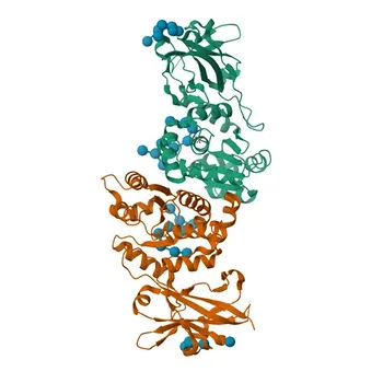 Anti-EPM2A Rabbit Polyclonal Antibody for WB, ELISA - O95278