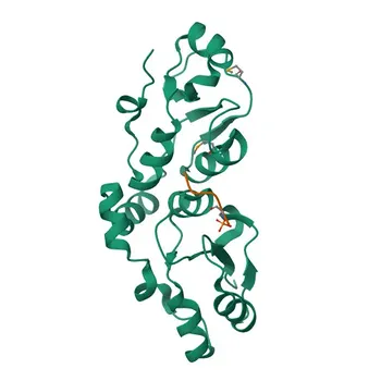 Anti-MDC1 Rabbit Polyclonal Antibody for WB, IHC-P, IF/ICC, ELISA - Q14676