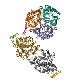 Anti-GYPB Rabbit Polyclonal Antibody for WB, ELISA - P06028