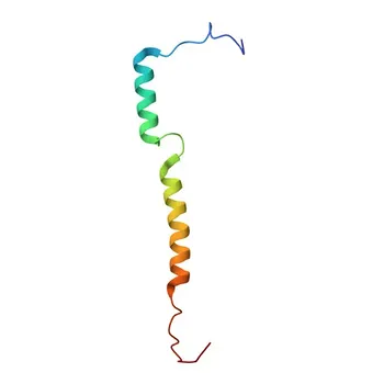 Anti-UIMC1 Rabbit Polyclonal Antibody for WB, IF/ICC, ELISA - Q96RL1
