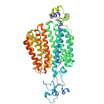 Anti-SLC22A11 Rabbit Polyclonal Antibody for WB, ELISA - Q9NSA0