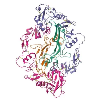 Anti-Follistatin (FST) Rabbit Polyclonal Antibody for WB, ELISA - P19883