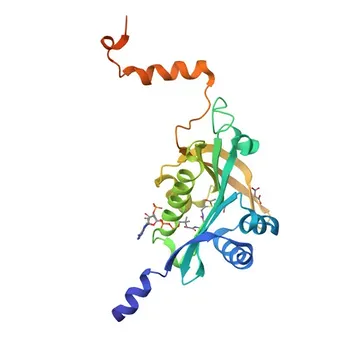 NAA60 Rabbit Polyclonal Antibody for WB, IHC-P, ELISA - Q9H7X0