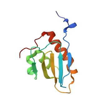 Anticorpo Policlonale Anti-NFU1 per WB ed ELISA - Q9UMS0