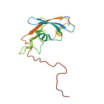Anti-UBL3 Rabbit Polyclonal Antibody for WB, IHC-P, ELISA - O95164