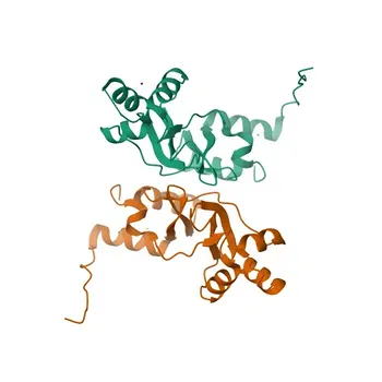 Anti-CLCNKA Rabbit Polyclonal Antibody for WB, ELISA - P51800