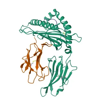 Anti-RUNX3 Rabbit Polyclonal Antibody for WB, IF/ICC, ELISA - Q13761