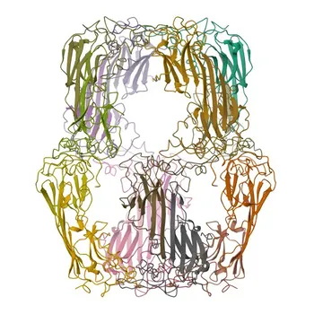 Anti-CRYAA Rabbit Polyclonal Antibody for WB, IF-P, ELISA - P02489