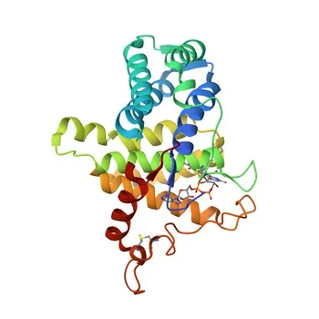 Anticorpo policlonale Anti-QSOX1 per WB, ELISA - O00391