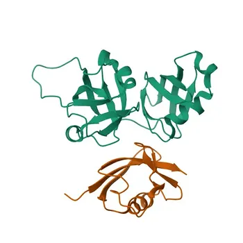 Anticorpo Policlonado de Coelho Anti-FAF1 para WB, IHC-P, ELISA - Q9UNN5