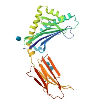 Anti-Zinc-α2-glycoprotein (ZAG/AZGP1) Rabbit Polyclonal Antibody for WB, ELISA - P25311