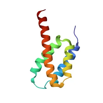 Anti-DNAJC2 Polyclonal Antibody for WB, ELISA - Q99543