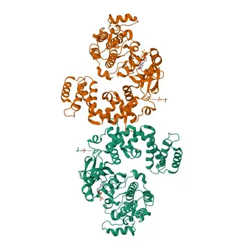 Anti-GRK6 Polyclonal Antibody for WB, ELISA - P43250