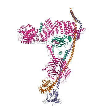Anti-ATG14 Polyclonal Antibody for WB, IF/ICC, ELISA - Q6ZNE5
