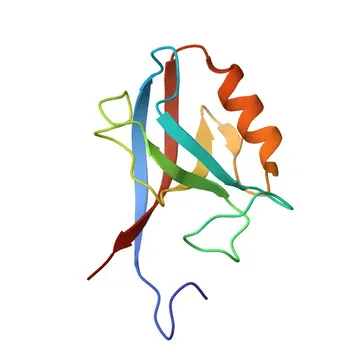 Anti-ERBB2IP Rabbit Polyclonal Antibody for WB, ELISA - Q96RT1