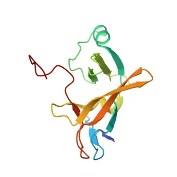 Anticorpo policlonale coniglio anti-MLL5/KMT2E per WB, IF-P, IHC-P, ELISA - Q8IZD2