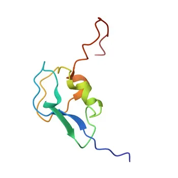Anti-NANS Rabbit Polyclonal Antibody for WB, ELISA - Q9NR45