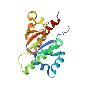 Anti-IGF2BP3 Polyclonal Antibody for WB, ELISA - O00425