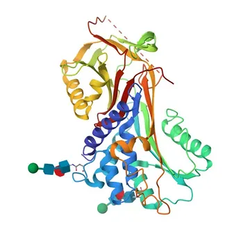 Anti-Kallistatin (SERPINA4) Rabbit Polyclonal Antibody for WB - P29622