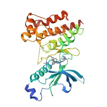 Anti-FGFR4 Polyclonal Antibody for WB, ELISA - P22455