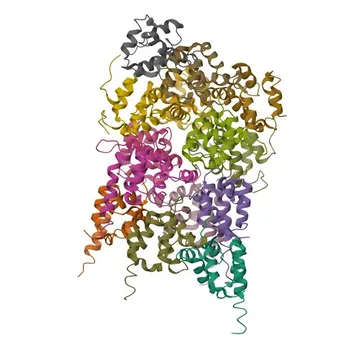 IRAK2 Rabbit Polyclonal Antibody for WB, ELISA - O43187