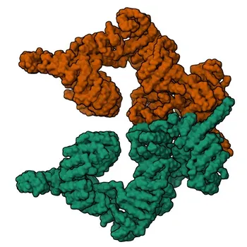 Anti-ATM Rabbit Polyclonal Antibody for WB, ELISA - Q13315