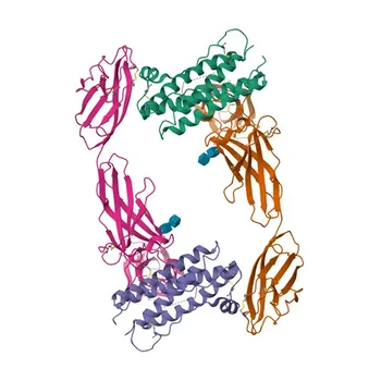 Anti-CSF3R Polyclonal Antibody for WB, ELISA - Q99062