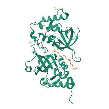 Anti-MTDH Rabbit Polyclonal Antibody for WB, IHC-P, IF/ICC, ELISA - Q86UE4