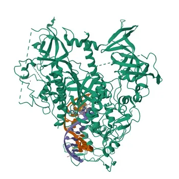 DNMT1 Rabbit pAb for WB, IF/ICC, IP, ELISA - P26358