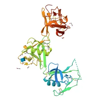 Anticorpo Policlonado de Coelho Anti-CD6 para WB e ELISA - P30203