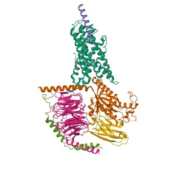Anti-GHRH Polyclonal Antibody for WB, IF/ICC, ELISA - P01286