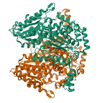 Anticorpo Policlonal de Coelho Anti-glicose-6-fosfato isomerase para WB, IHC-P, ELISA - P06744