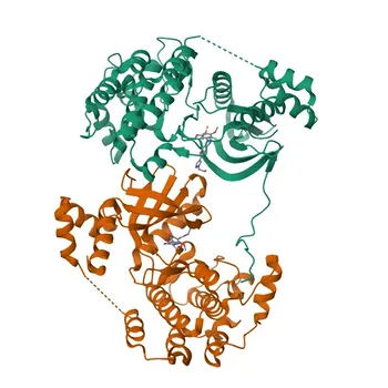 Anti-SIK3 Polyclonal Antibody for WB and ELISA - Q9Y2K2