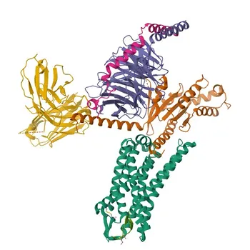 Anticorpo Policlonal de Coelho Anti-Somatostatina (SST) para WB, IF-P, IHC-P, ELISA - P61278