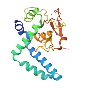Anti-NFIX Rabbit Polyclonal Antibody for WB and ELISA - Q14938