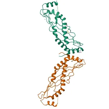 Anticorpo Policlonale Anti-BPIFA1 per WB, ELISA - Q9NP55
