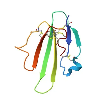 Anti-PSCA Rabbit Polyclonal Antibody for WB and ELISA - O43653