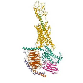 Anti-SCTR Rabbit Polyclonal Antibody - P47872
