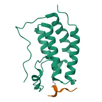 [KO Validated] Anti-WSTF Rabbit Polyclonal Antibody for WB, IHC-P, ELISA - Q9UIG0