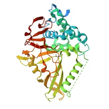 Anti-USP8 Rabbit pAb for WB, IF/ICC, ELISA - P40818