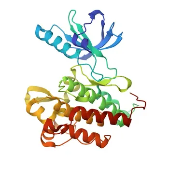 Anticorpo Monoclonal de Coelho TrkB para WB, IHC-P, ELISA - Q16620