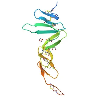 Anti-RSPO1 Kaninchen-Polyklonaler Antikörper für WB, IHC-P, IF/ICC, ELISA - Q2MKA7
