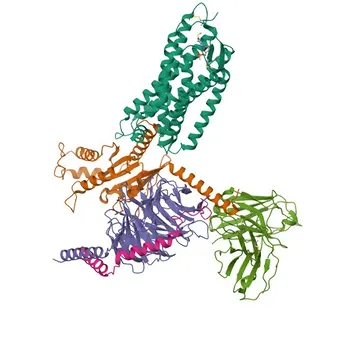 Anticorpo policlonale coniglio Anti-P2RY1 per WB e ELISA - P47900