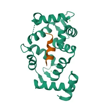 Anti-GRK1 Polyclonal Antibody for WB, IHC-P, ELISA - Q15835