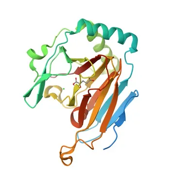 Anti-ALKBH3 Polyclonal Antibody for WB and ELISA - Q96Q83