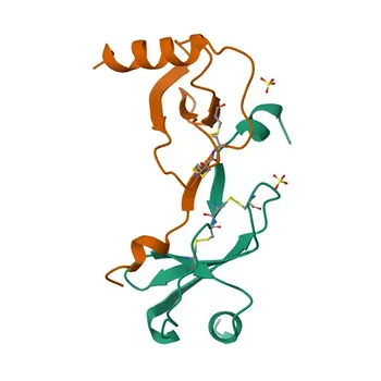 Anti-CCL2/MCP-1 Polyclonal Antibody for WB, IHC-P, ELISA - P13500