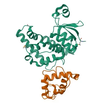 [KO Validated] Anti-EEF1B2 Rabbit Polyclonal Antibody for WB, IHC-P, IF/ICC, ELISA - P24534