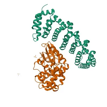 Anti-CAB39L Rabbit Polyclonal Antibody for WB, ELISA - Q9H9S4